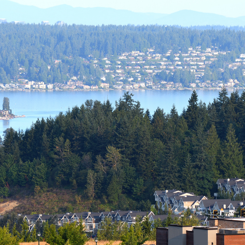 Looking for a Real Estate Broker in Issaquah?