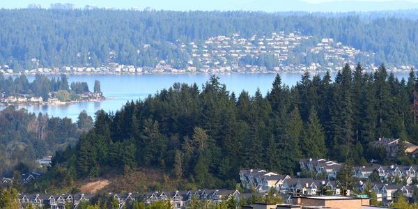 Looking for a Real Estate Broker in Issaquah?