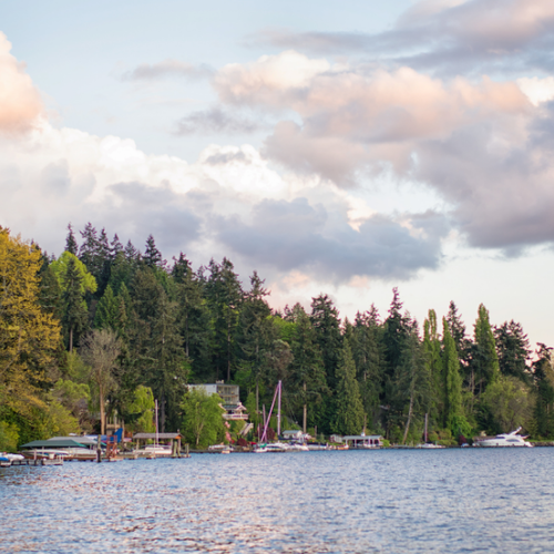 Inside Bellevue: A Neighborhood-by-Neighborhood Guide to Washington's Most Competitive City