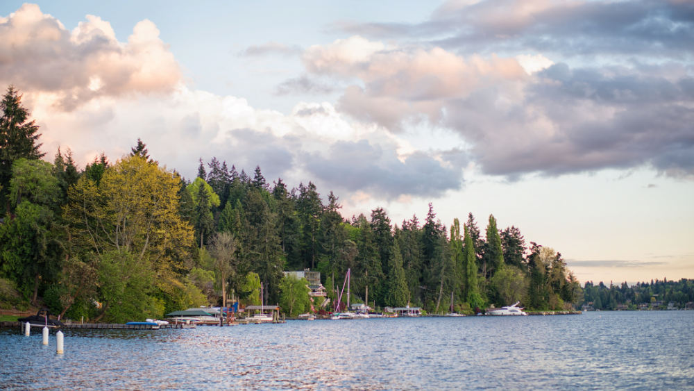Inside Bellevue: A Neighborhood-by-Neighbo&hellip;