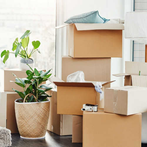 Moving to the Pacific Northwest? Here's What No One Tells You About Relocating to the Eastside