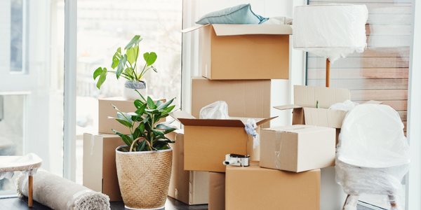Moving to the Pacific Northwest? Here's What No &hellip;