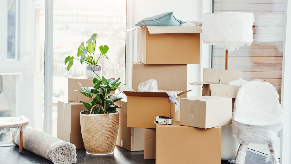 Relocating to the Pacific Northwest Washington Bellevue Eastside