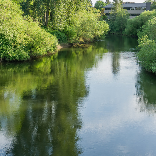 Homes for Sale in Tukwila, WA: What Buyers Need to Know About This Underrated King County Market