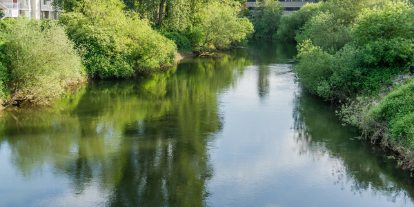 Homes for Sale in Tukwila, WA: What Buyers &hellip;