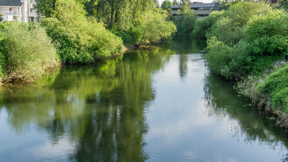 Homes for Sale in Tukwila