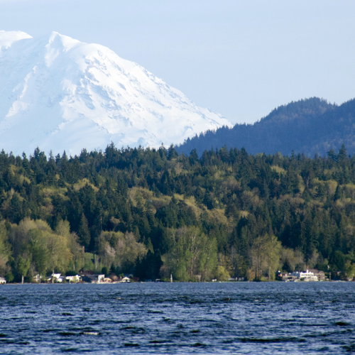 Homes for Sale in Sammamish, WA: What Buyers Need to Know in 2026