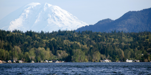 Homes for Sale in Sammamish, WA: What Buyers &hellip;