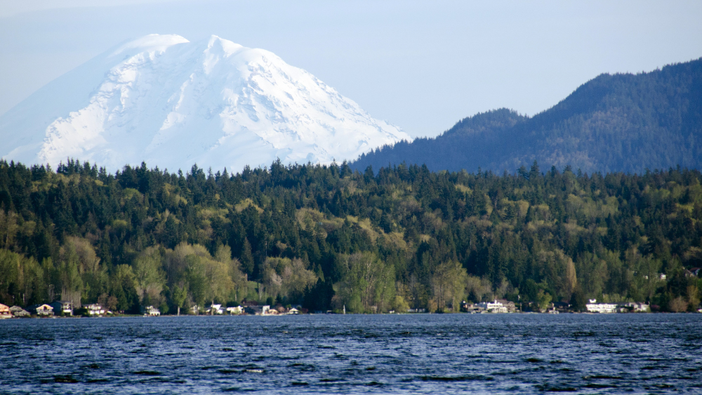 Homes for Sale in Sammamish