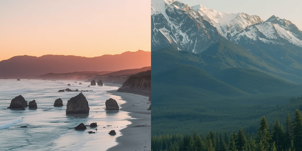 Moving to Washington State from California: The Complete &hellip;