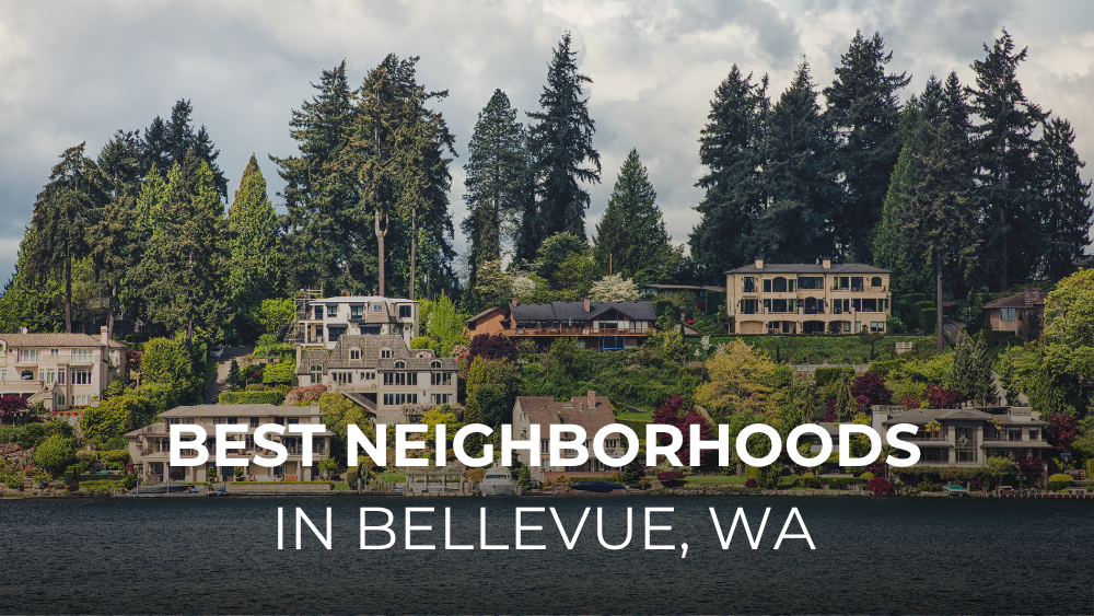 Tree-lined residential street in a Bellevue Washington neighborhood