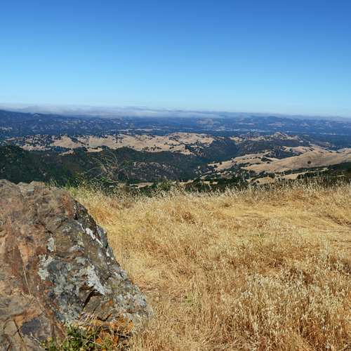 Coastal Views and Canyon Adventures: The 10 Best Day Hikes Around Cypress and Orange County