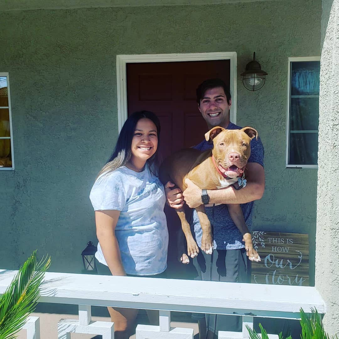 happy couple holding dog