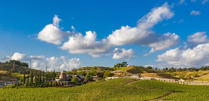 Home Search Strategy