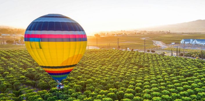 Market-Ready Preparation