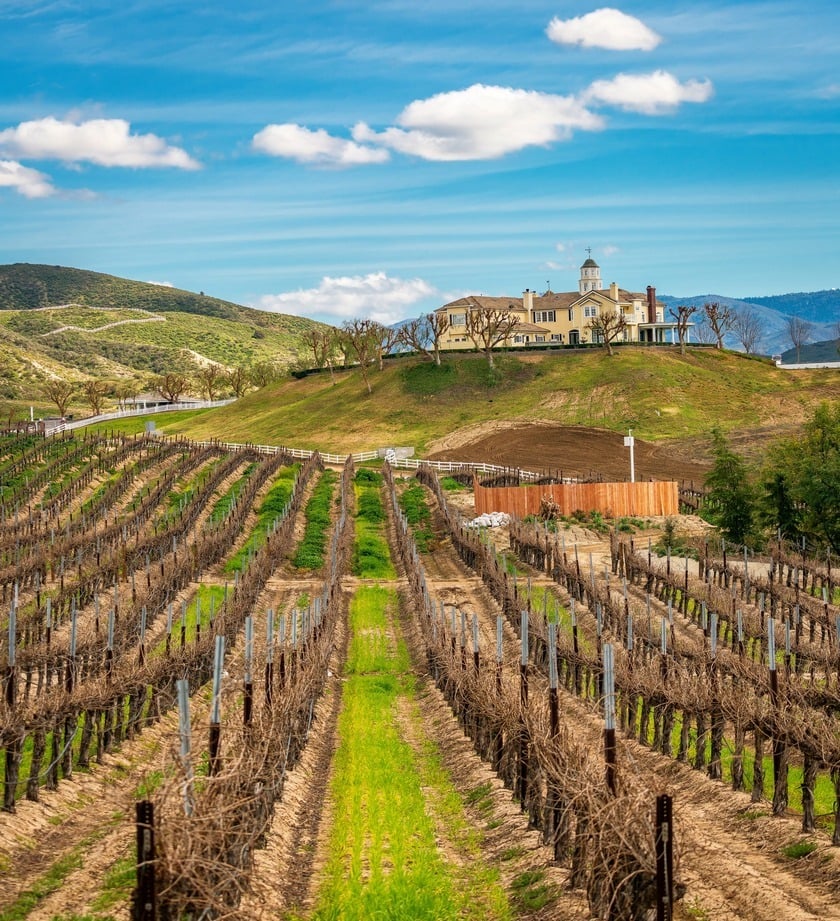 Wine country website