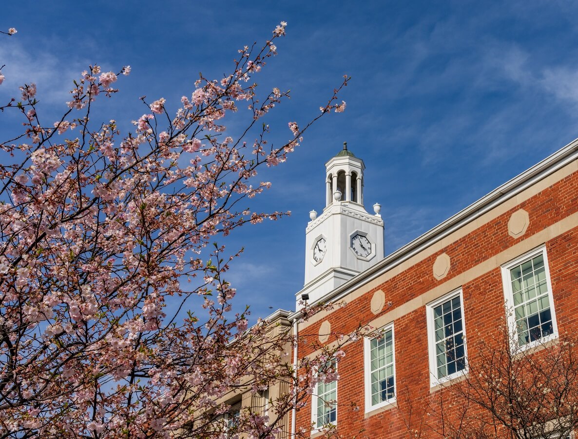 Cherry blossoms frame the cupola on the roof of the Delaware City Hall