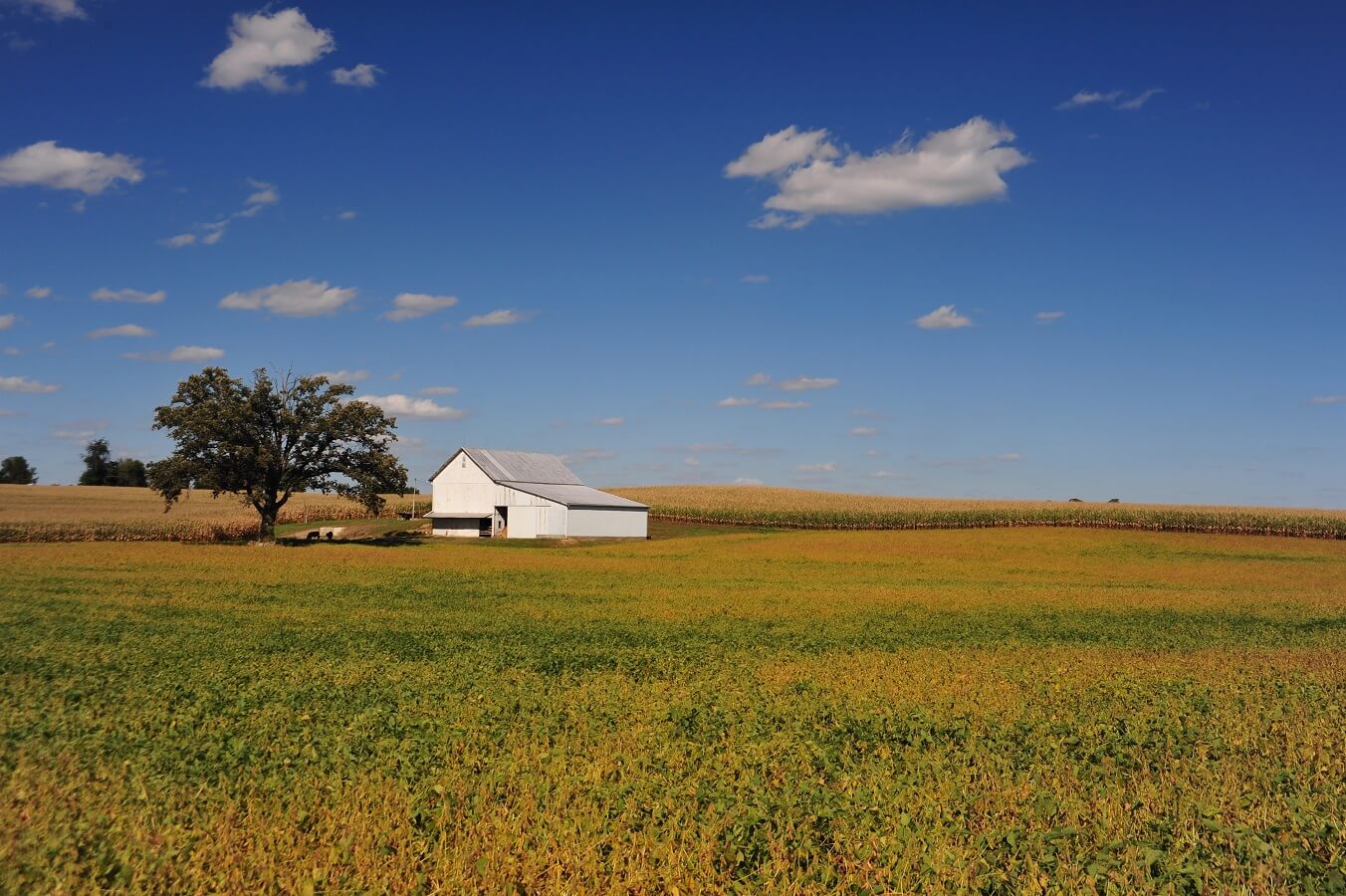 Farm Scene in eastern Ohio