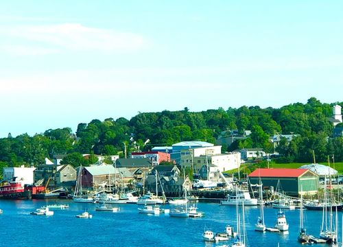 Belfast_MidCoast_Waldo