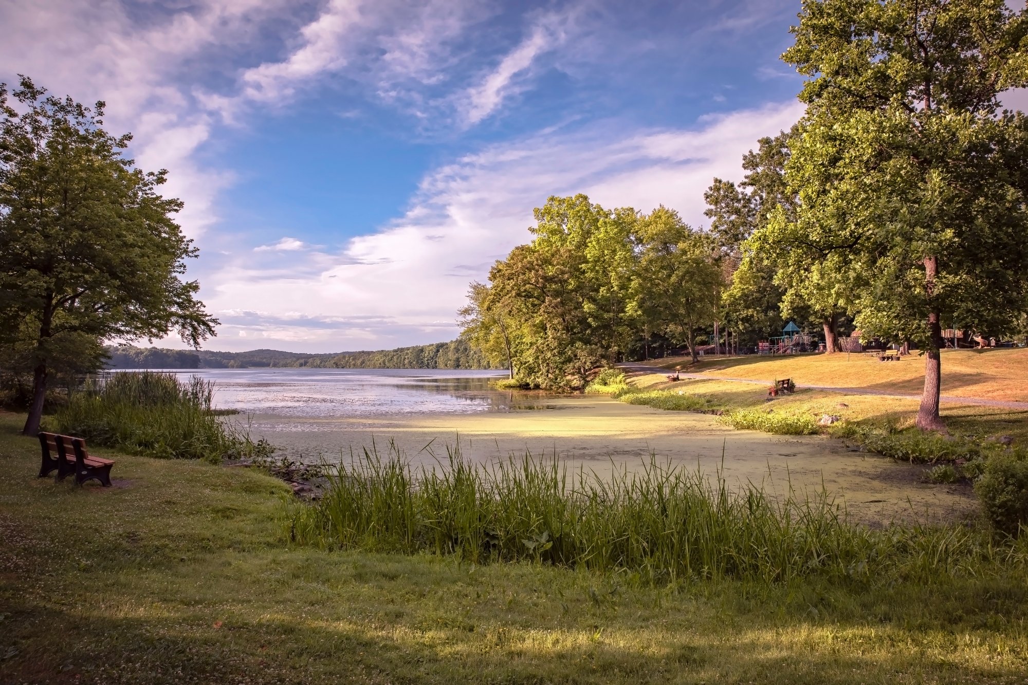 shutterstock_1821182276 (1) (1)