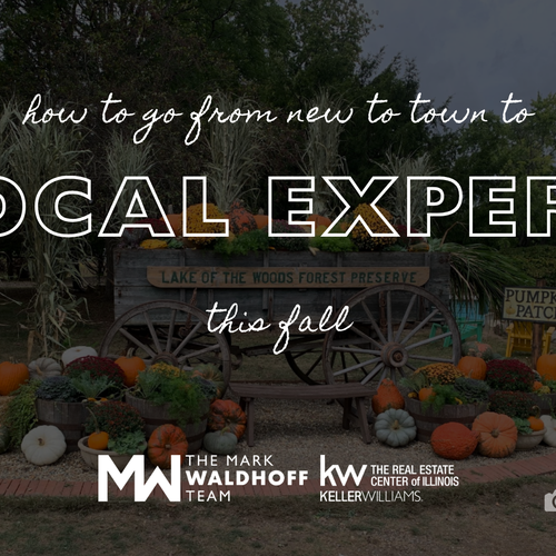 How to Go from New to Town to Local Expert This Fall in Chambana