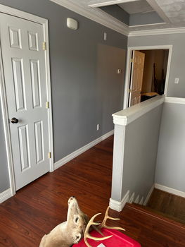 225E3BB1-F0C1-4CC0-8857-5501BE332C6A