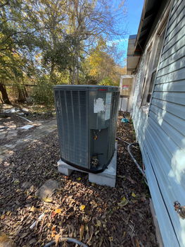 Photo Dec 15 2025, 12 14 50 PM