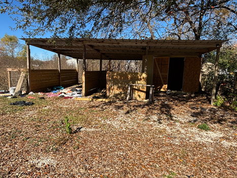 Photo Dec 15 2025, 12 29 08 PM