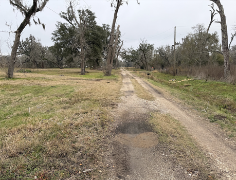 Screenshot 2026-02-03 at 2.19.20 AM