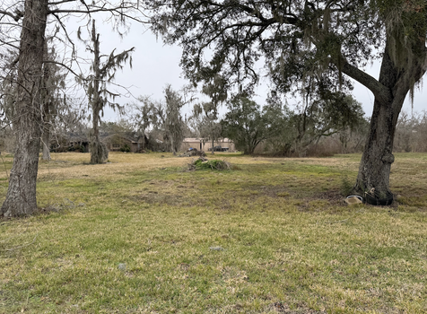 Screenshot 2026-02-03 at 2.19.33 AM