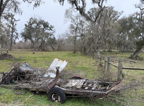 Screenshot 2026-02-03 at 2.19.44 AM