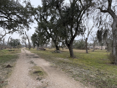 Screenshot 2026-02-03 at 2.20.00 AM