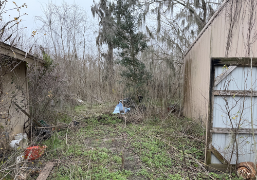 Screenshot 2026-02-03 at 2.21.09 AM