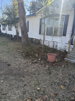 Screenshot 2026-02-06 at 4.32.10 AM