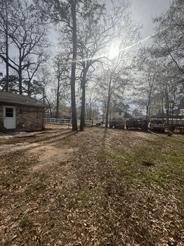 Screenshot 2026-02-24 at 1.04.54 AM