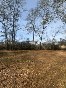 Screenshot 2026-02-24 at 1.06.51 AM