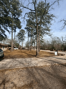 Screenshot 2026-02-24 at 12.56.21 AM