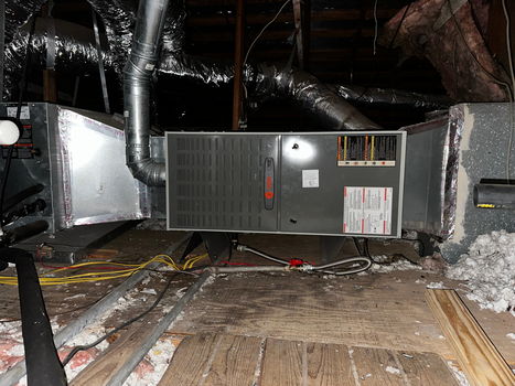 Photo Feb 26 2026, 10 35 58 AM