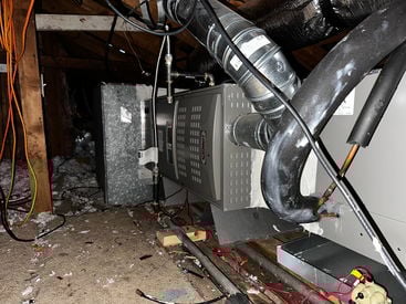 Photo Feb 26 2026, 10 36 02 AM