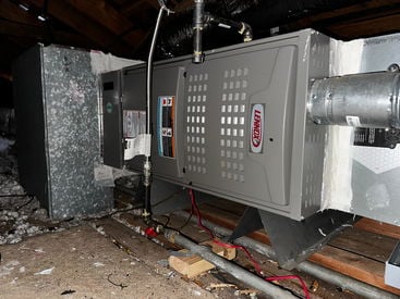 Photo Feb 26 2026, 10 36 38 AM