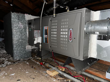 Photo Feb 26 2026, 10 36 38 AM