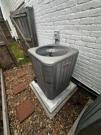 Photo Feb 26 2026, 10 39 17 AM