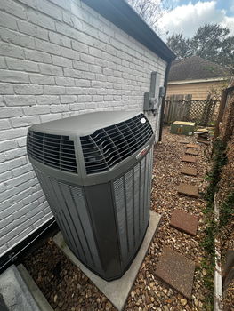 Photo Feb 26 2026, 10 39 21 AM