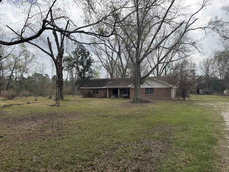 Screenshot 2026-03-11 at 10.17.27 PM