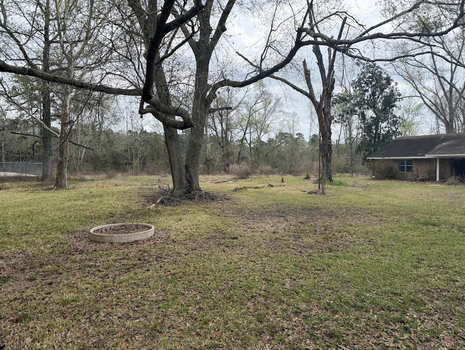 Screenshot 2026-03-11 at 10.17.47 PM