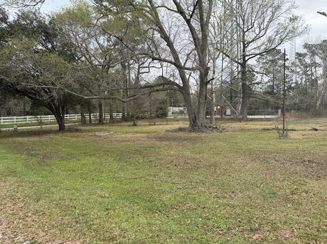 Screenshot 2026-03-11 at 10.18.26 PM