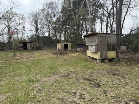 Screenshot 2026-03-11 at 10.18.54 PM