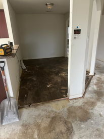 113B84F2-66D5-4492-8F7E-E8B47A68AA08