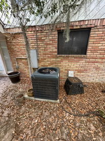 5AEA84FA-8892-42BB-8269-4238742CB438