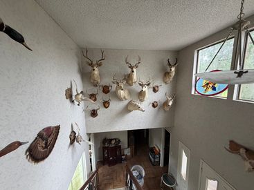 8148C284-2BED-46AB-8BE7-B6D1435422BA